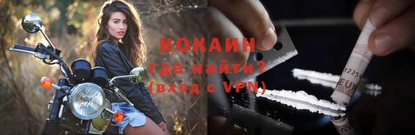 индика Баксан
