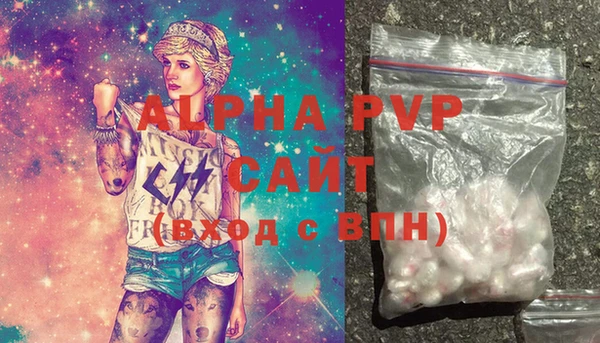 индика Баксан