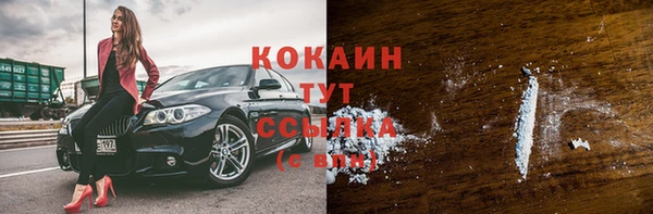 индика Баксан