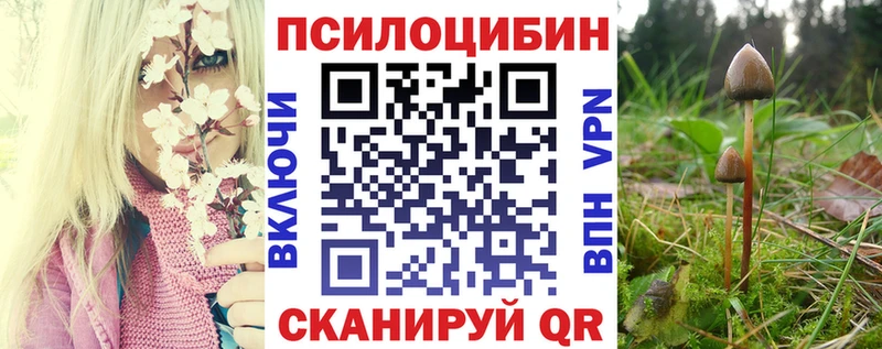 нарко площадка формула  Ликино-Дулёво  Псилоцибиновые грибы Magic Shrooms 